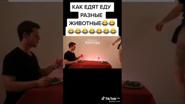 Это очень смешно Как едят разные животные???? смотреть онлайн