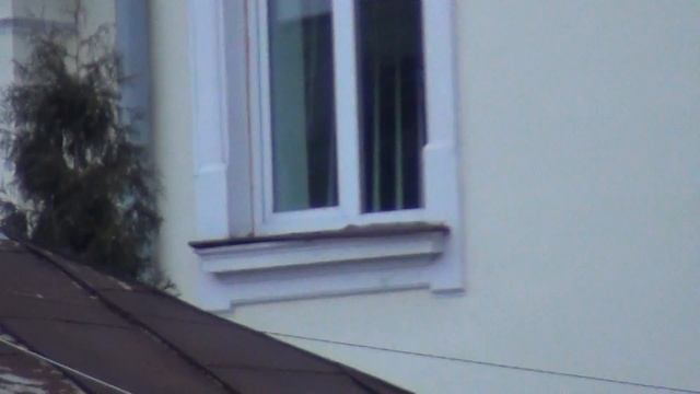 Sony HDR-CX250E смотреть онлайн