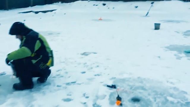 Рыболовный клуб ФИШКА ЛИПКИ! Активно ловим форель со льда! Репортаж с водоёма 28/11/2022! смотреть онлайн