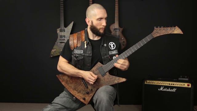 Steiner Kraus Guitars | Valkyrie Explorer Guitar смотреть онлайн