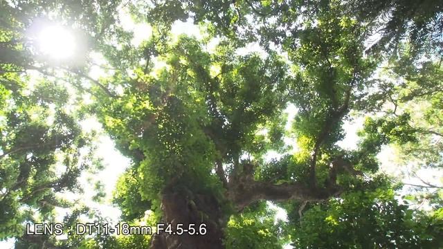 SONY NEX-FS700 Promo Video смотреть онлайн