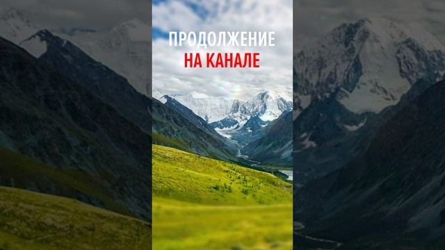 Муж сменил замки в квартире без её ведома #shorts смотреть онлайн