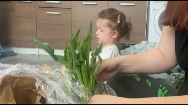 Распаковка новых хост . Мой выбор хост для нового участка .