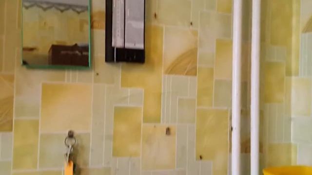 общага, травим тараканов/ hostel, poison cockroaches смотреть онлайн