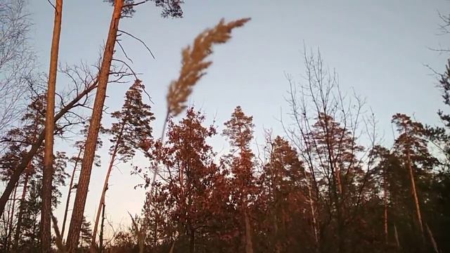 24 ноября Когда мы были молодые Ю Мориц смотреть онлайн