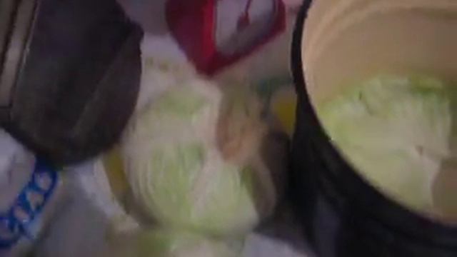 Процес приготування капусти до квашення смотреть онлайн