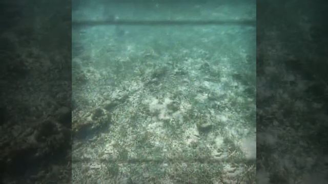 Куба. Sol Rio de Luna y Mares. Часть 2. смотреть онлайн