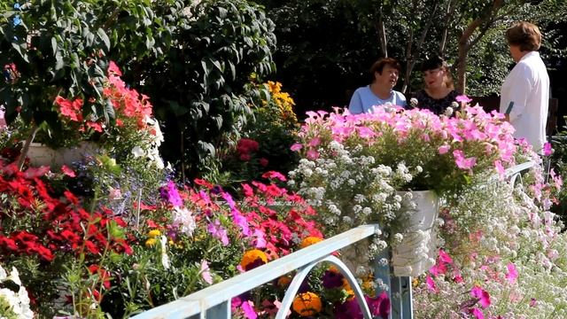 «Красота своими руками» Саяногорска подводит итоги смотреть онлайн