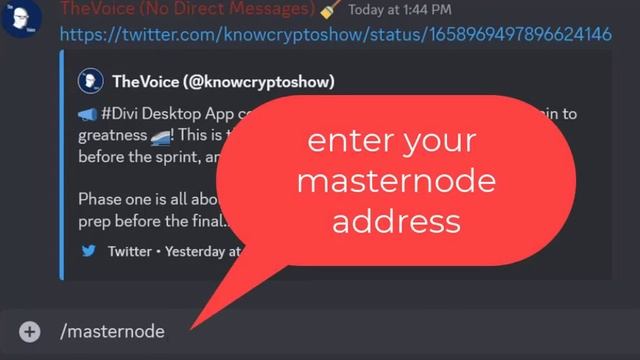 Divi Masternode Status Lookup in #support-chat on Discord смотреть онлайн