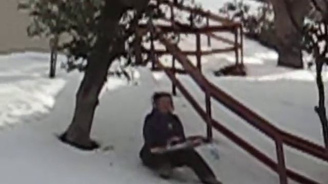 steezy sled shred 7 смотреть онлайн