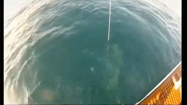Фри дайвинг в Балаклаве смотреть онлайн