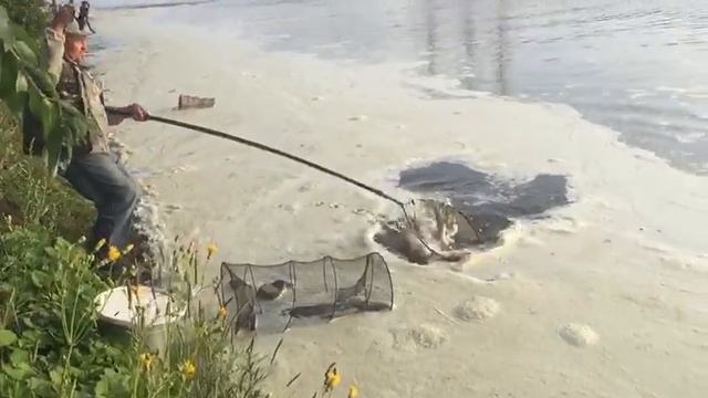 КАРП 4 3 кг смотреть онлайн