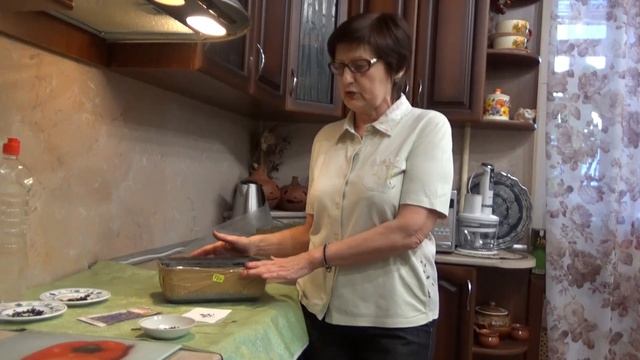 Сальвия блестящая