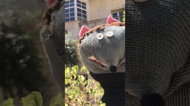 Ёжик Боря прогулка по Тель-Авиву