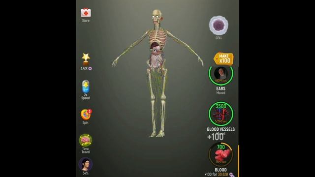 Idle Human! MAX LEVEL FEMALE EVOLUTION! Unlimited Gold MOD APK смотреть онлайн
