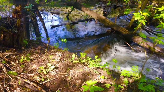 Beautiful waterfall in the forest./Красивый водопад в лесу. смотреть онлайн