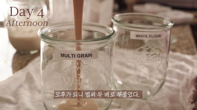 How to Make a Sourdough Starter with Kombucha from scratch - Homemade Levain with Kombucha смотреть онлайн