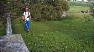 STIHL FS 261 - SHORT GRASS MOWING VIDEO - GRASS CUTTING VIDEO
