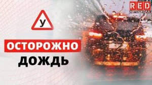 Дождь! Как не попасть в ДТП [Автошкола RED]