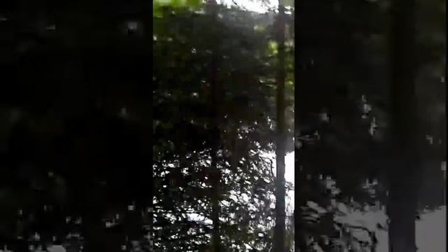 #Карпаты Озеро Синевир смотреть онлайн