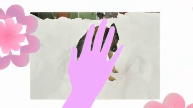 Графические цветы и любовь. Видео из фото смотреть онлайн