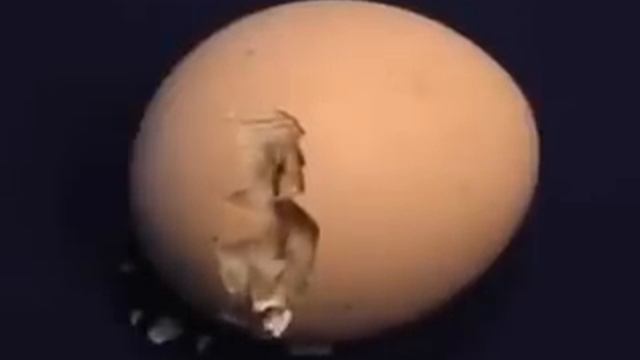 СтройХакер