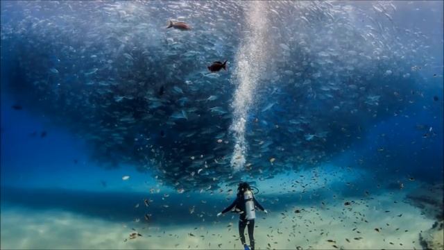 ТОП 10 Самых Крутых фото 2015 года смотреть онлайн