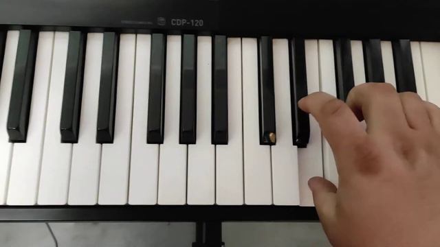 Casio CDP 120