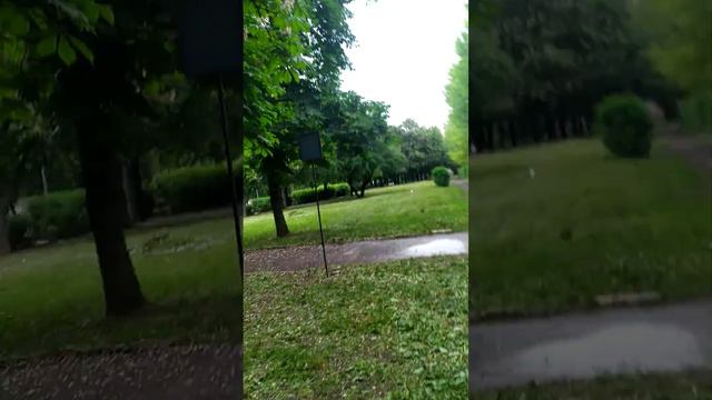 эта девочка портит нам прогулку каждый день! смотреть онлайн
