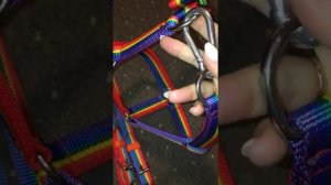 Шью амуницию для лошадей и собак. ?? Обзор на уздечку и недоуздок для лошади Радужного цвета?.