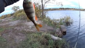 Рыбалка на спиннинг с берега. Ловля щуки и окуня на силикон.