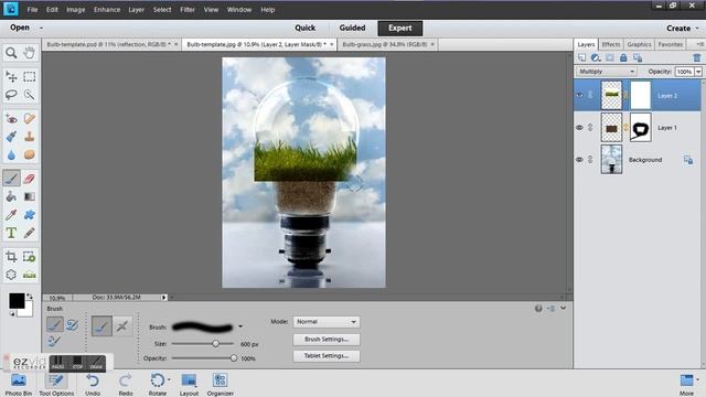 Photoshop Elements 11 : Photo Manipulation- Light Bulb