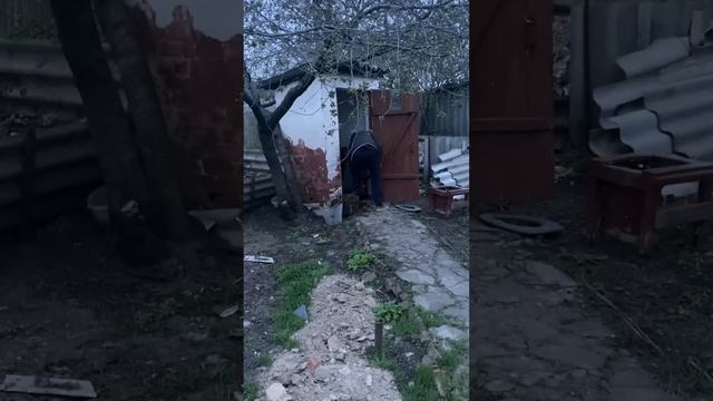 Коляска тв #funny Паша мерседес смотреть онлайн