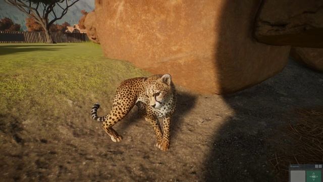 Planet Zoo. Гепарды (Тут есть гепард - альбинос!) смотреть онлайн