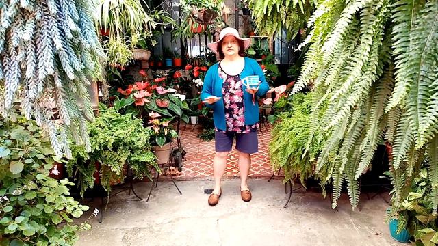 ¿Cómo protejo mis Plantas del Frío? смотреть онлайн