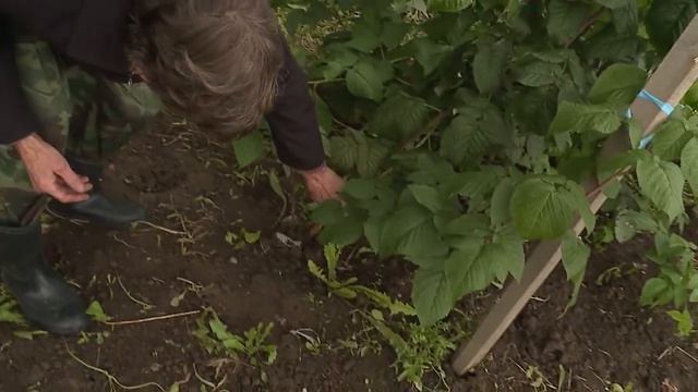 Дача Малина смотреть онлайн