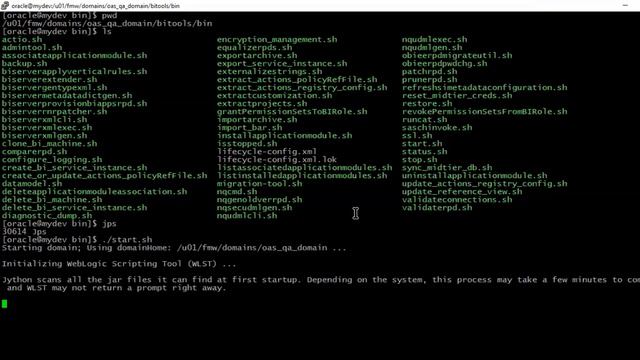 How to Control Bi Services on Oracle Analytics Server #OAS Domain смотреть онлайн