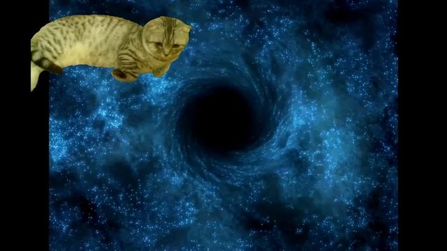 Кот в космосе смотреть онлайн