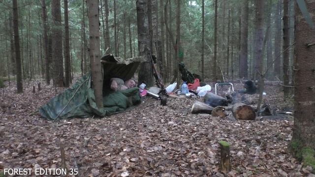 ПОХОД С НОЧЁВКОЙ В ЛЕС