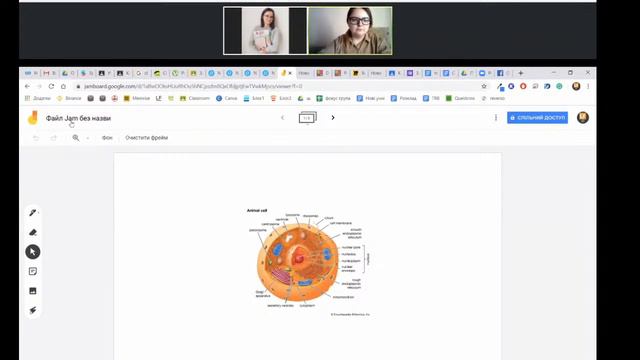 Вебінар: Огляд платформ для спрощення викладання онлайн смотреть онлайн