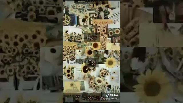Опрос про соседа по парте ✨ смотреть онлайн