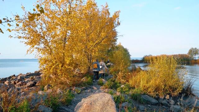 Строительный трест. Окружение коттеджного посёлка «Сад времени», осень 2021 смотреть онлайн