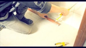 Охранно-Защитная Дератизационная Система (ОЗДС) - лучшая защита от грызунов