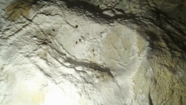 Садовая Пещера часть вторая Дальнегорск смотреть онлайн