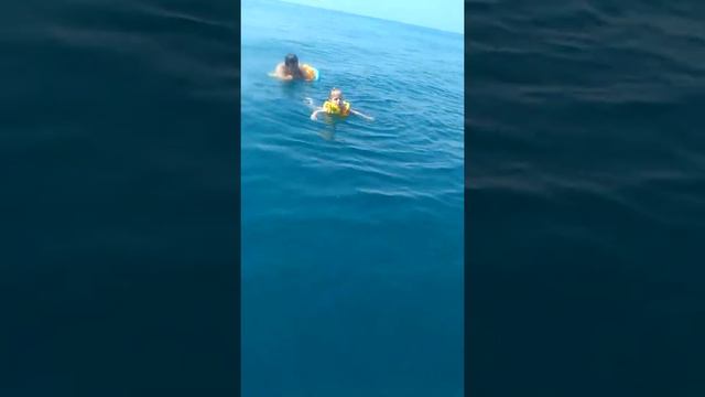 Море(9) смотреть онлайн