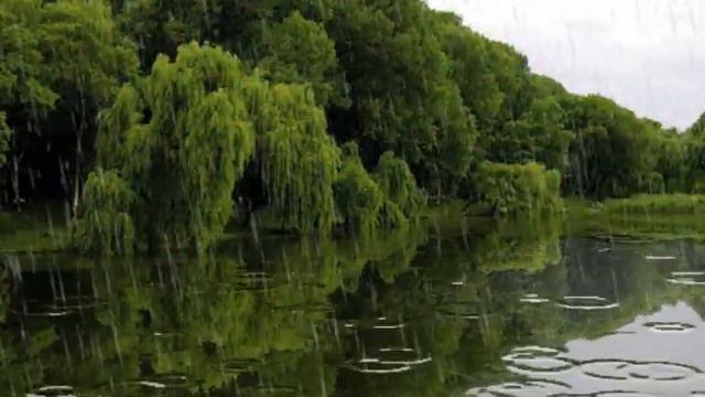Вітання для Свєтки.WMV смотреть онлайн