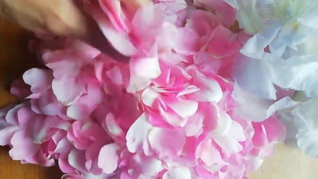 Дикая роза смотреть онлайн
