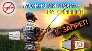 Можно ли ловить на СПИННИНГ в ЗАПРЕТ? Ответ РОСРЫБОЛОВСТВА вас удивит! Нерестовый запрет