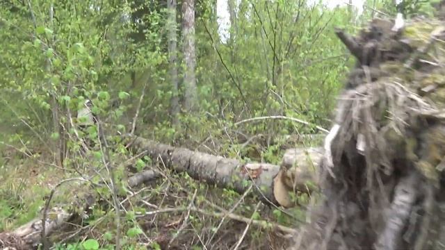 Заготавливаем "ВАЛЕЖНИК" в старых делянах....... смотреть онлайн
