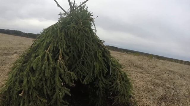 Охота на тетерева. Выбор места и постройка шалаша. Трофейная охота на боровую дичь. смотреть онлайн